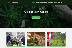 Cannabis Dk